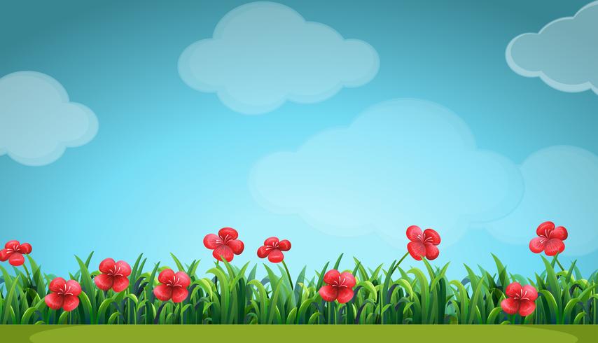 Scene with red flowers in the field vector