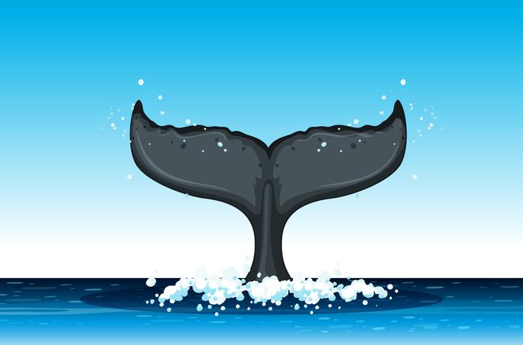 Cola de ballena jorobada en el océano vector