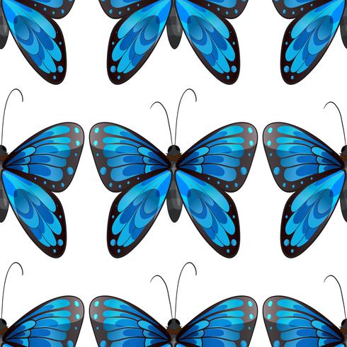 Blue butterfly seamless pattern vector