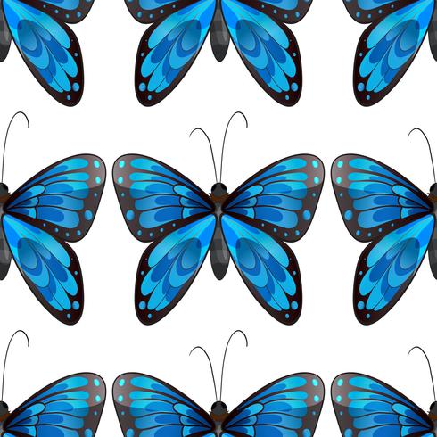 Mariposa azul de patrones sin fisuras vector