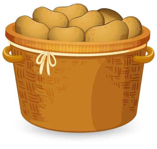 A basket of potato vector