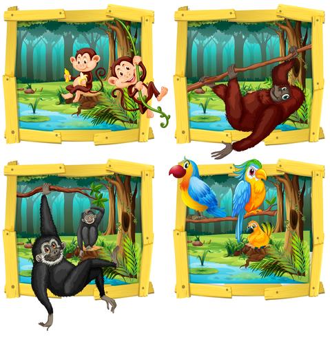 Wild animals in wooden frame vector