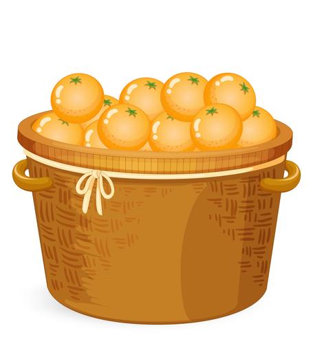 A basket of orange vector