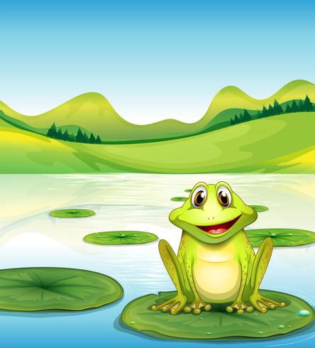 A frog above the waterlily in the pond vector