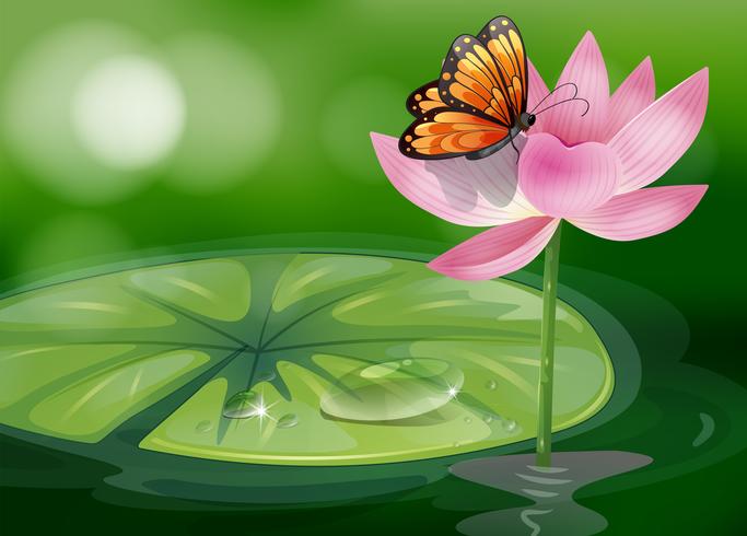 A butterfly at the top of a pink flower vector