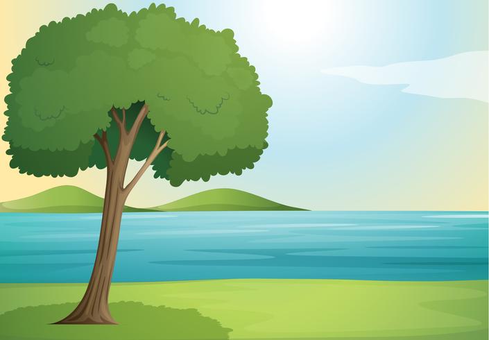 árbol y río vector