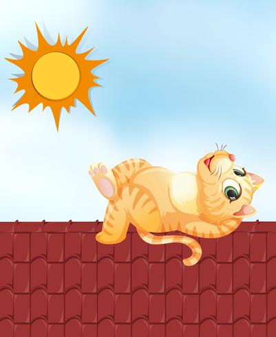 Lazy cat on the roof vector