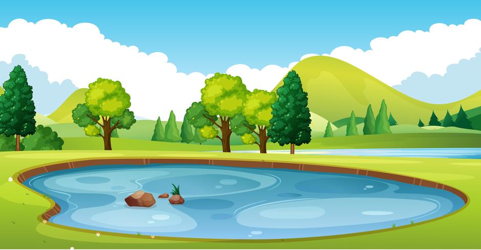 Scene with pond in the field vector