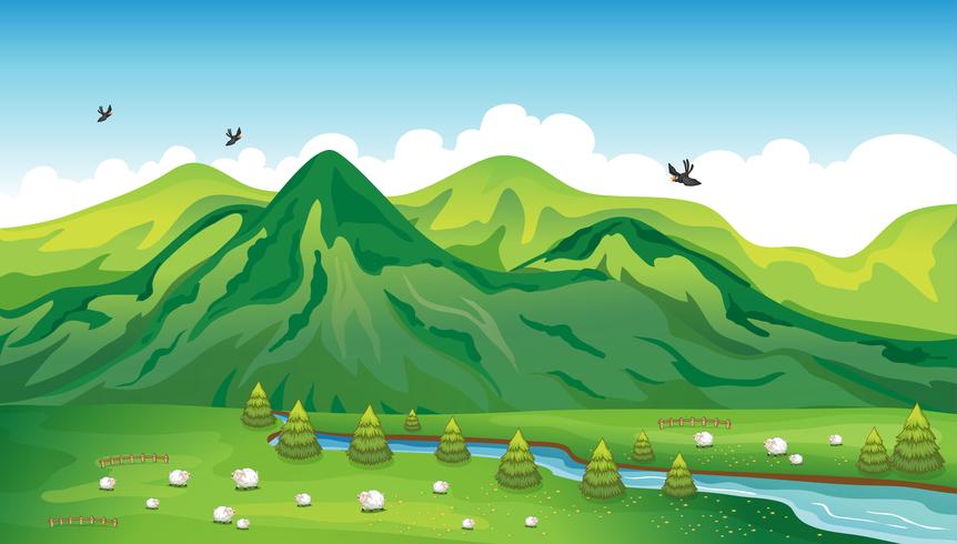 Sheeps, birds and a beautiful landscape vector