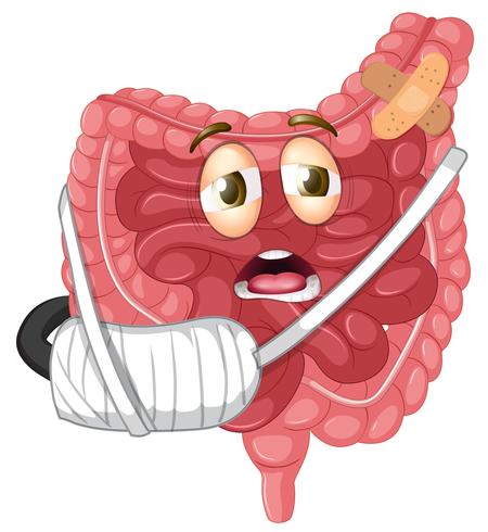 A pain stomach on white background vector