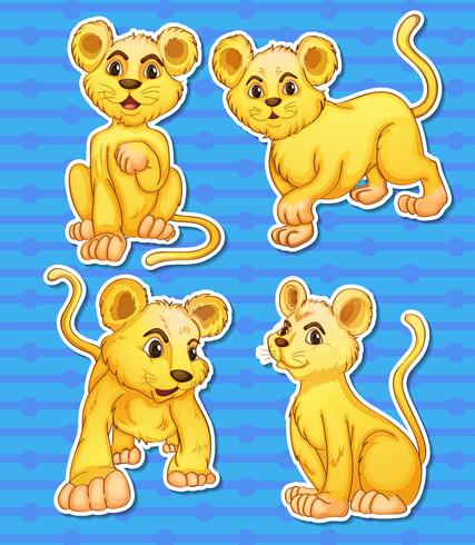 Conjunto de leones vector