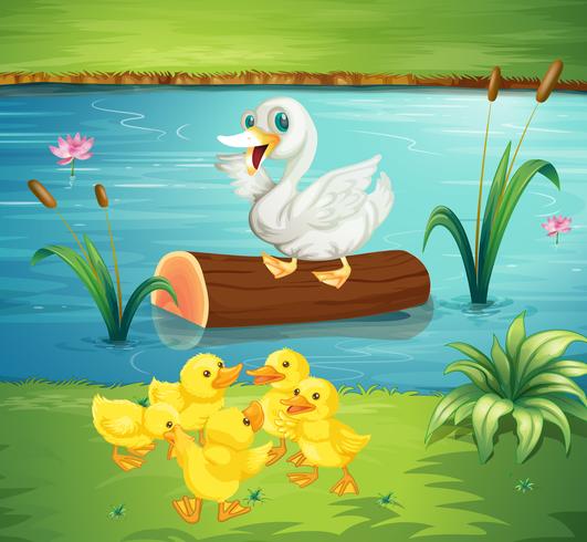 Duck family by the river vector