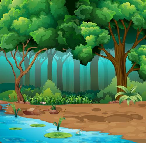 River run through the jungle vector