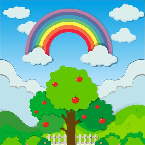 Rainbow over the apple tree vector