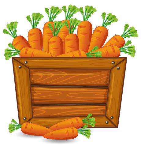 Carrot on wooden banner vector