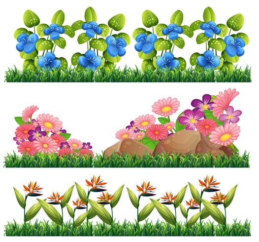 Set of flower decoration vector