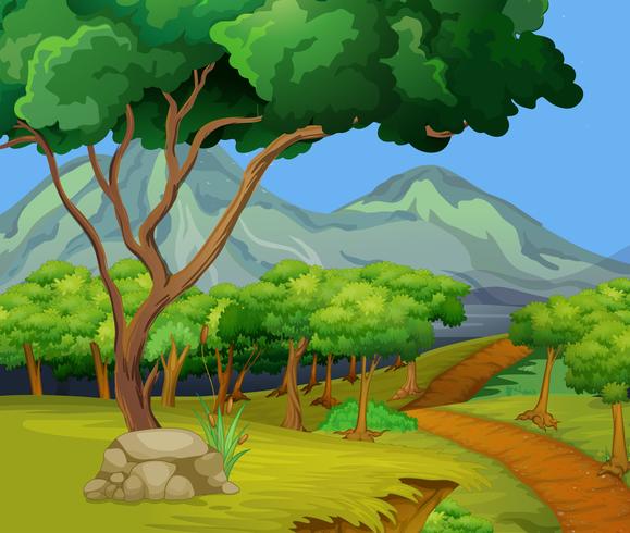 Scene with hiking track in the woods vector