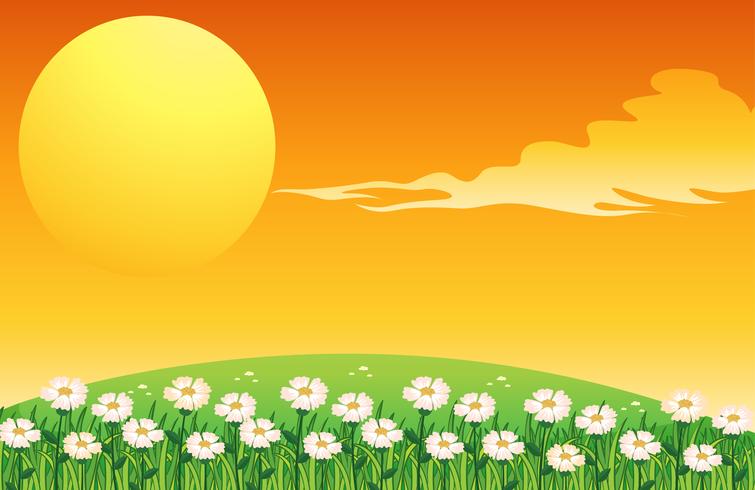 A sunset scene vector