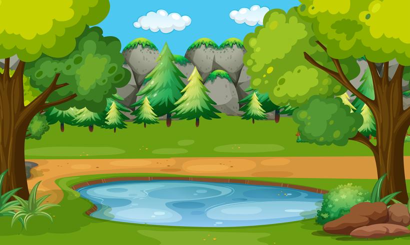 Scene with pond in the woods vector