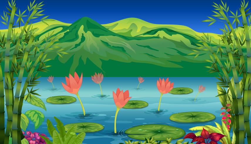 Los lirios de agua y flores en el lago. vector