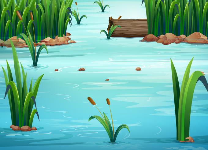 Pond vector