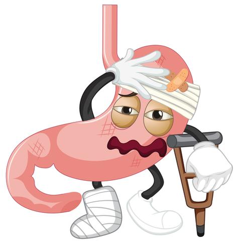 An injured stomach on white background vector