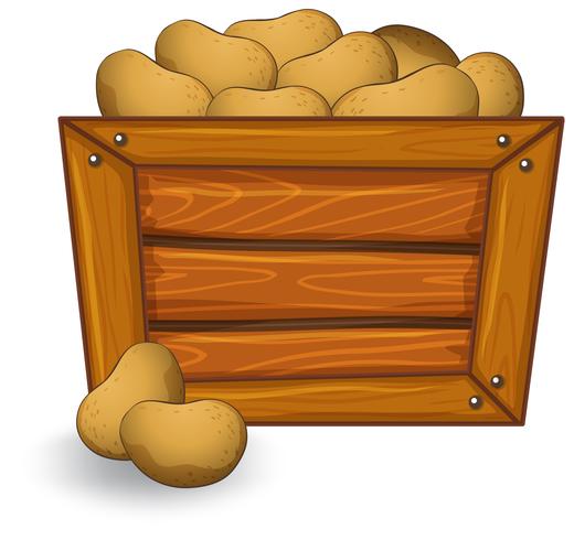 Potato on wooden board vector