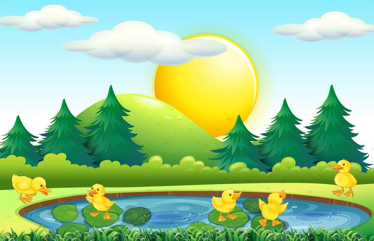 Five little ducks in the pond vector