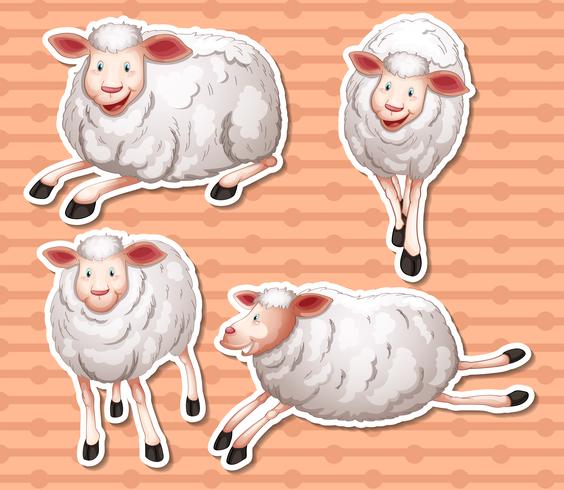 Sheeps set vector