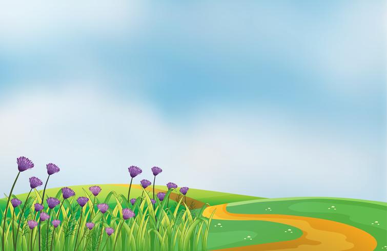 A garden with violet flowers at the top of the hills vector