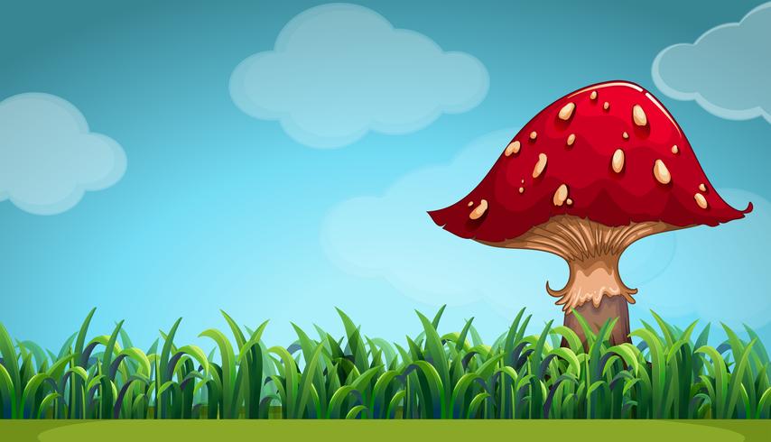 Scene with mushroom in the garden vector