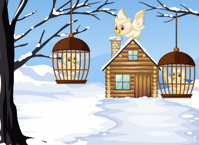 Winter scene with white owls in bird cages vector