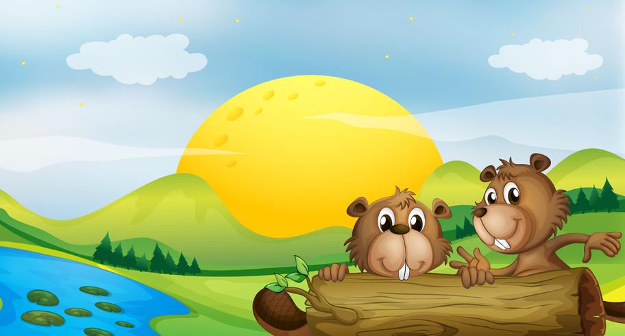 Two beavers at the riverbank vector