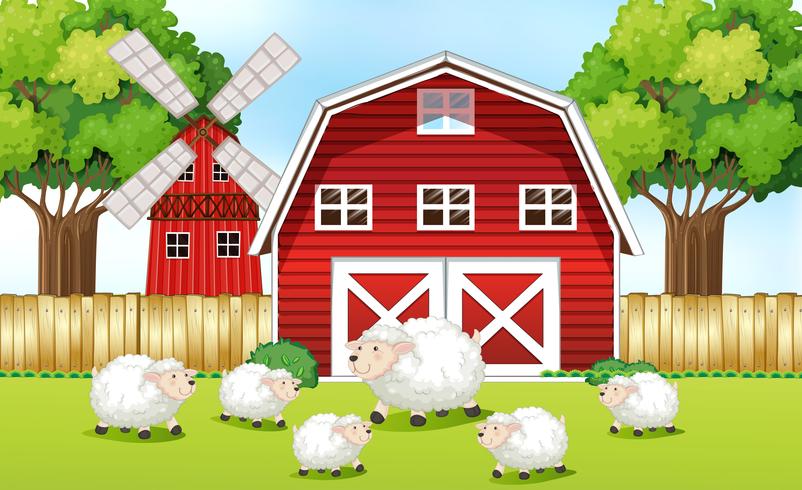 Sheeps in the farm with red barns vector