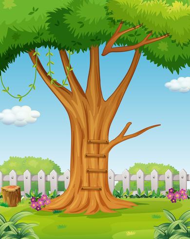 Tree in the garden vector