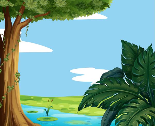 Scene with pond and big tree vector