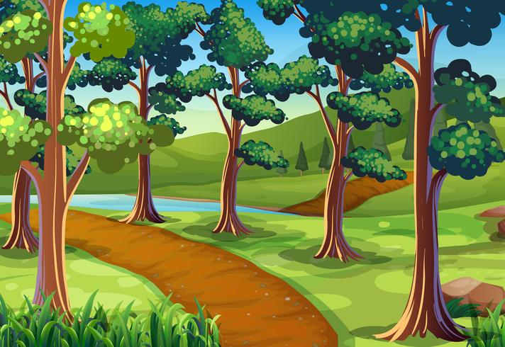 Scene with hiking trail in the woods vector