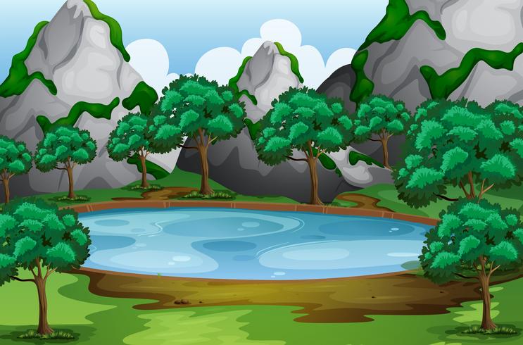 Forest scene with trees around the pond vector