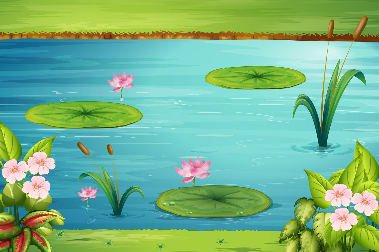 Scene with lotus in the pond 519962 Vector Art at Vecteezy