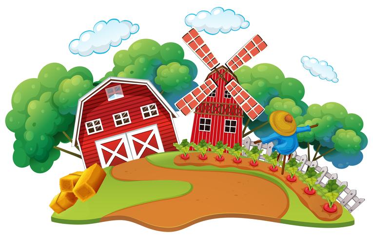 Farm scene with vegetables garden vector
