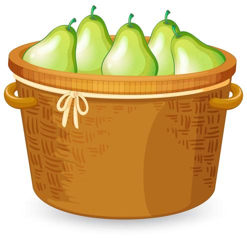 A basket of pear vector