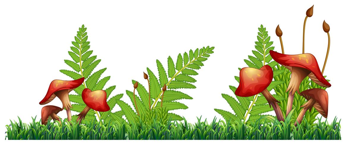 An isolated green landscape 520102 Vector Art at Vecteezy