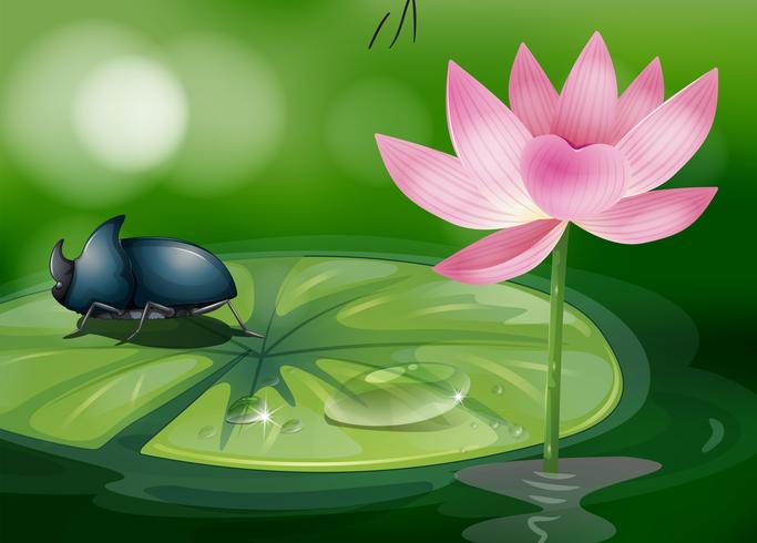 A bug above the waterlily vector