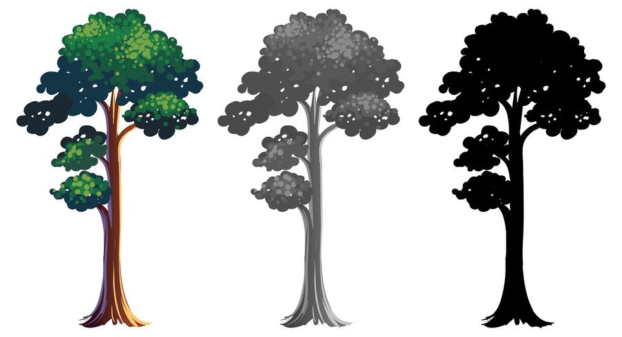 Conjunto de diseño de árbol vector