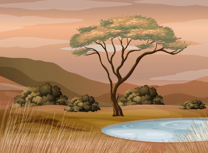 Scene with pond in the field vector