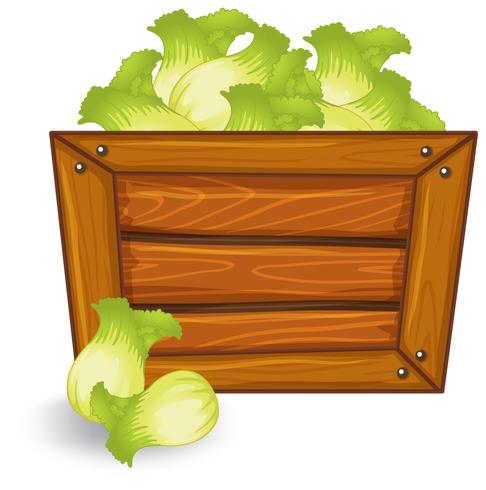 Lettuce on wooden frame vector