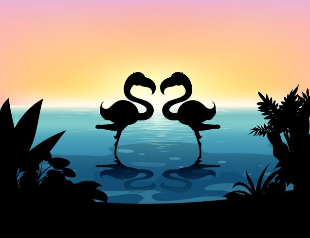 Silhouette flamingo standing in the pond vector