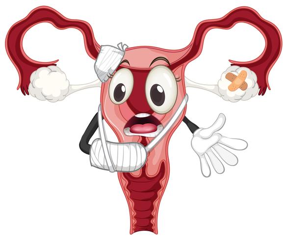 A damage ovary on white background vector