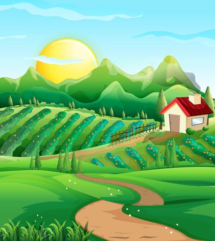 Scene with vegetables in the farmyard vector