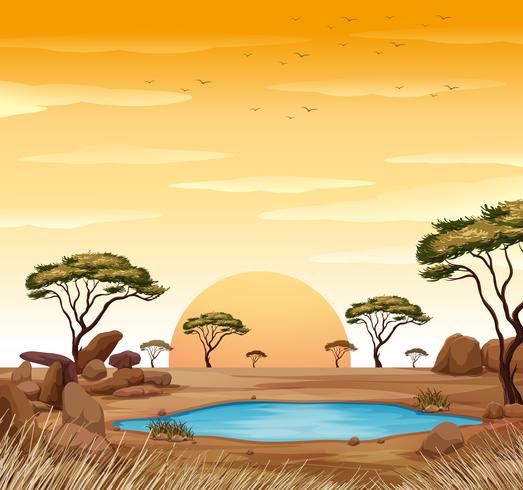 Scene with water hole in the field vector